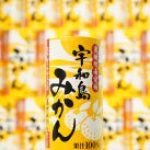 紙パック 　飲みきりサイズ　みかんジュース(125ml×30本)/cs