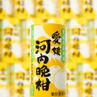 紙パック 　飲みきりサイズ　河内晩柑ジュース(125ml×30本)/cs