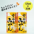 紙パック 　飲みきりサイズ　みかんジュース(125ml×30本)/cs